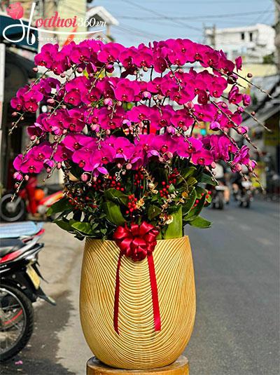 Chậu lan hồ điệp tím - Phúc lộc tài