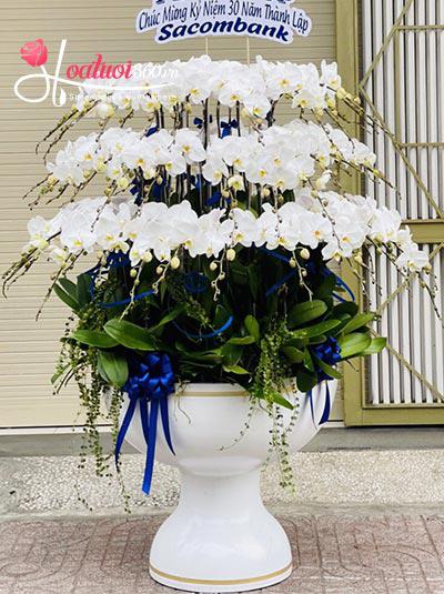Chậu lan hồ điệp trắng 3 tầng quý phái