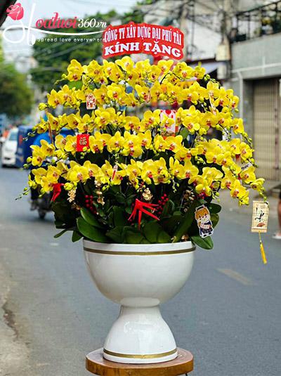 Chậu lan hồ điệp vàng - Đắc lộc sinh hoa