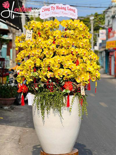 Chậu lan hồ điệp vàng - Hái lộc hưởng phúc