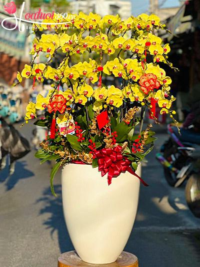 Chậu lan hồ điệp vàng - Lộc may phát tài