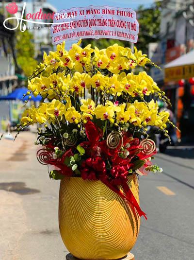 Chậu lan hồ điệp vàng - Mệnh phú quý