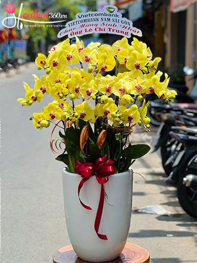 Chậu lan hồ điệp vàng - Mọi điều thuận hòa