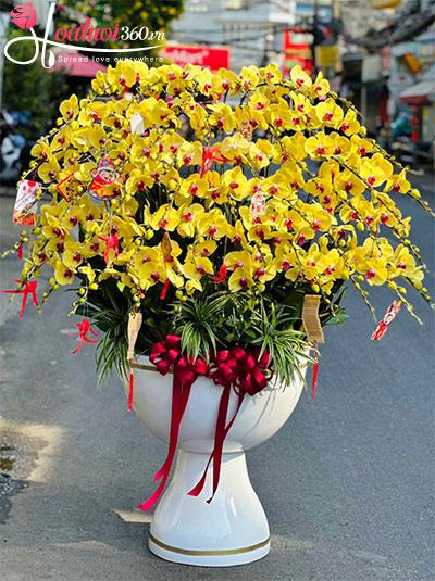 Chậu lan hồ điệp vàng - Phát tài phát lộc
