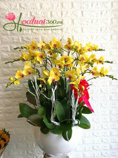 Những mẫu hoa tặng cha đẹp năm 2019 father-day9