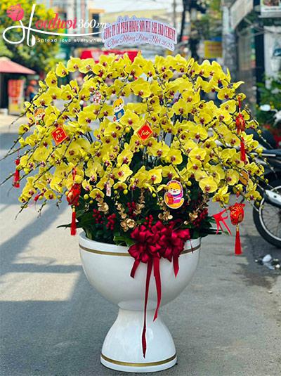 Chậu lan hồ điệp vàng - Phú quý vạn gia