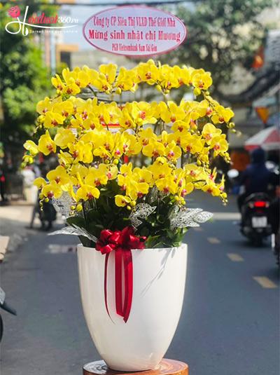 Chậu lan hồ điệp vàng - Rước lộc đón tết