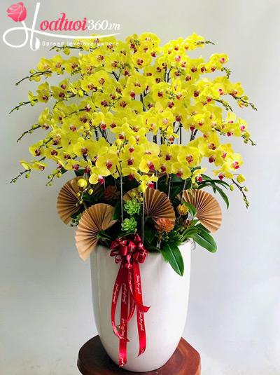 Chậu lan hồ điệp vàng - Trọn đời an khang