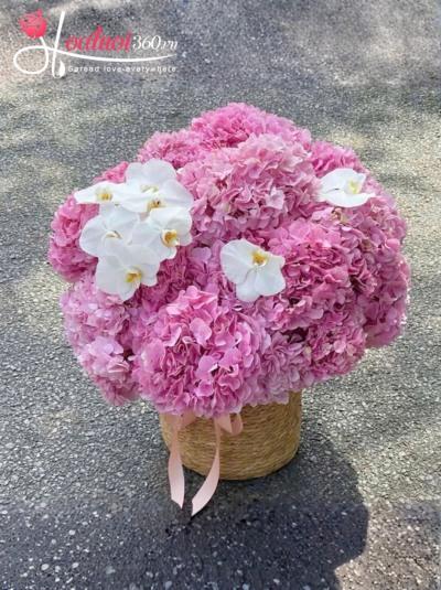 CTC - Nghe bước em về