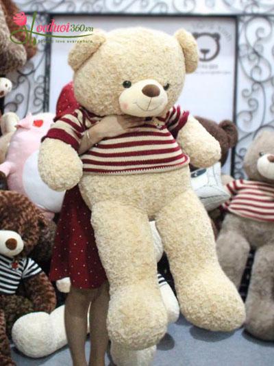 Gấu bông Teddy dễ thương