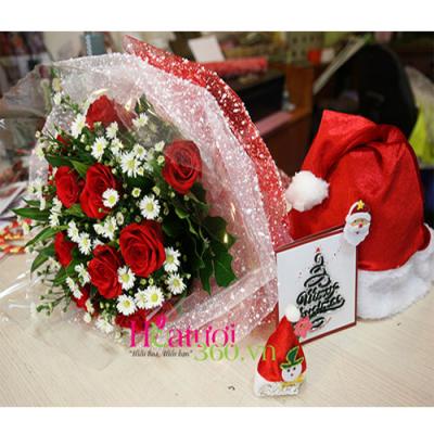 Hoa giáng sinh - Giáng sinh ấm áp