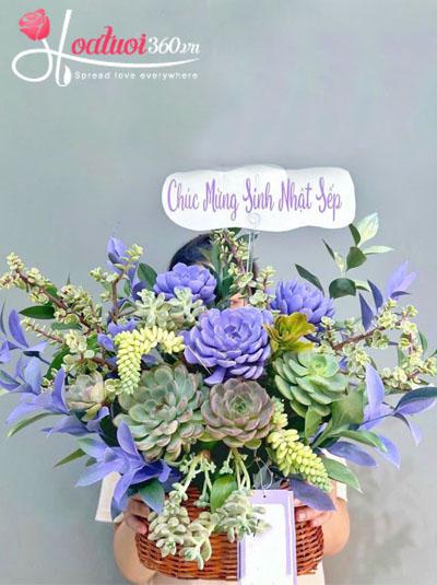 Giỏ hoa sen đá - May mắn tốt đẹp