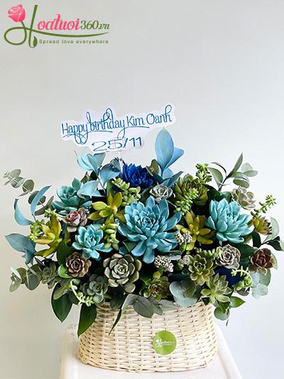 Giỏ hoa sen đá - Muôn kiểu yêu thương