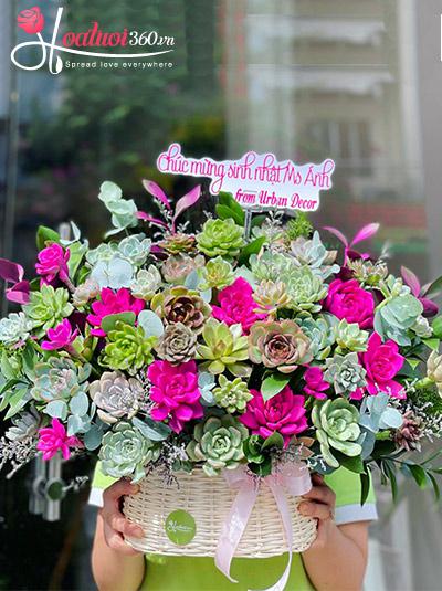 Giỏ hoa sen đá - Ngày càng thêm sắc