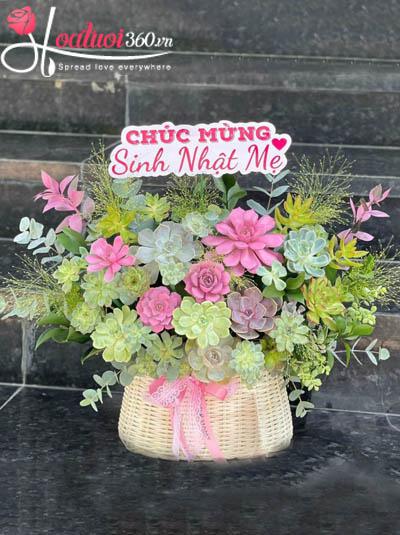 Giỏ hoa sen đá - Phú quý nở hoa