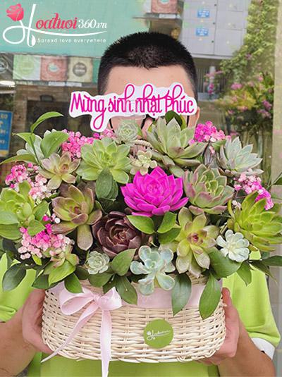 Giỏ hoa sen đá - Tô điểm sắc thu