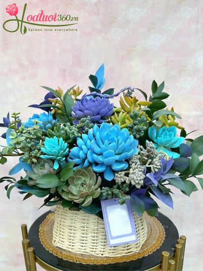 Giỏ hoa sen đá - Vẻ đẹp vĩnh cửu