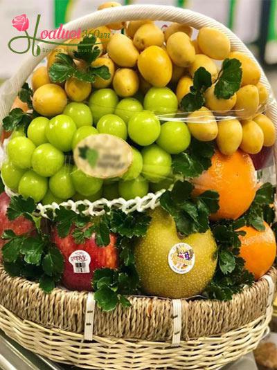 Giỏ trái cây xoa dịu nỗi nhớ