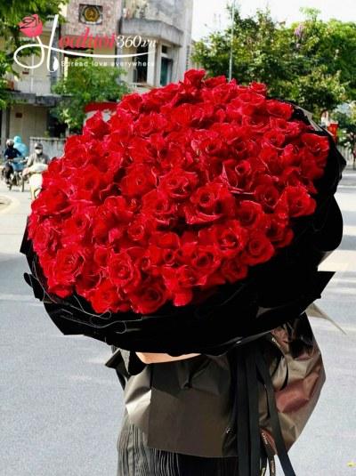 HBT - Đoá hồng kiêu sa