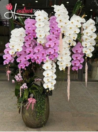 HDV - Hợp tác thành công