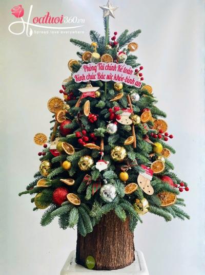 Cây thông Noel - Bí mật của Santa