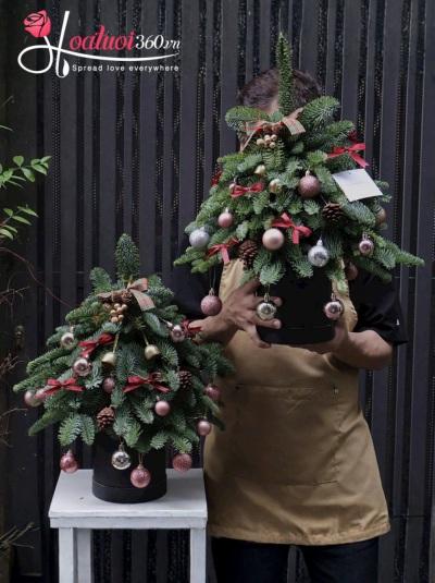 Cây thông Noel - Giấc mơ tuyết trắng