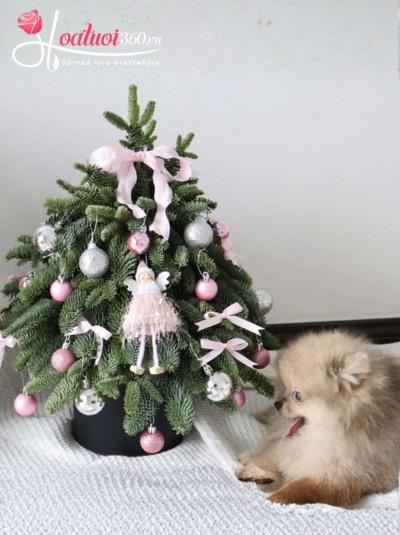 Cây thông Noel - Kẹo bông gòn