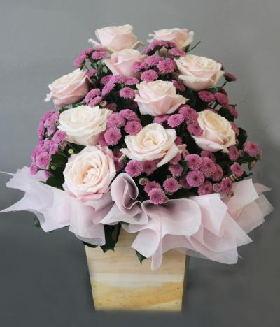 Hoa 20/11- Tình thầy trò