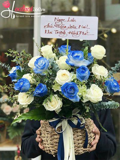 Hoa cắm giỏ - Tương lai tươi sáng