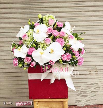 Hoa chúc mừng - Sắc màu cuộc sống