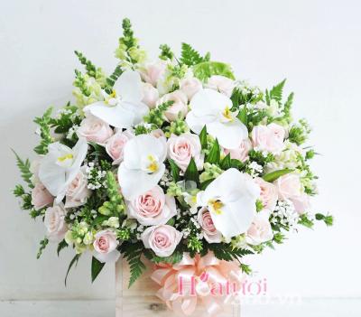 Hoa chúc mừng - Niềm vui mỗi ngày