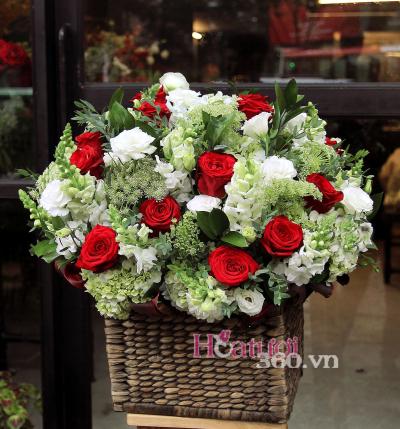 Hoa chúc mừng - Hạnh phúc ngập tràn