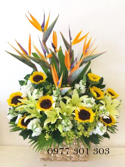 Hoa chúc mừng - Vẻ đẹp tự nhiên