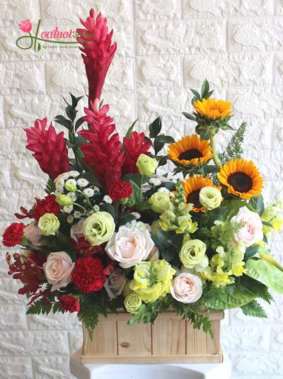 Hoa chúc mừng  - Điều tốt đẹp