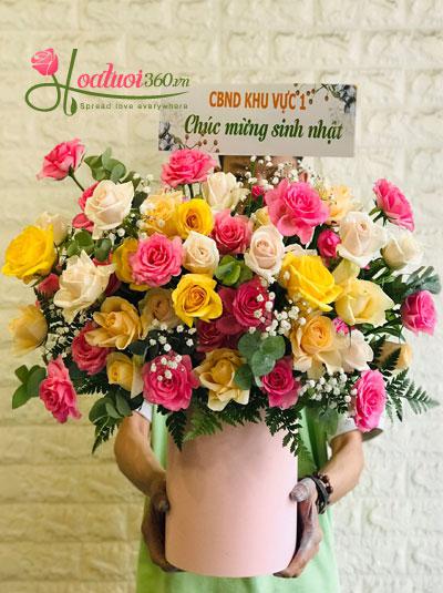 Hoa chúc mừng - Nụ cười hồn nhiên