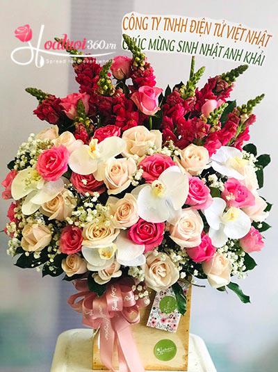 Hoa chúc mừng - Perfect