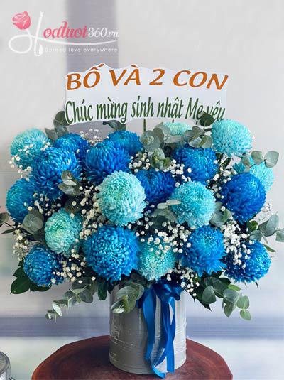 Hoa cúc mẫu đơn - Mẹ là tuyệt nhất