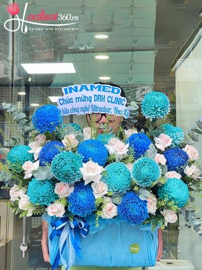 Hoa cúc mẫu đơn - Phồn hoa