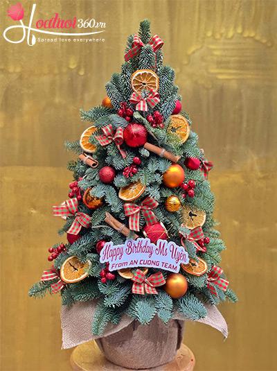 Hoa giáng sinh - Jingle bell