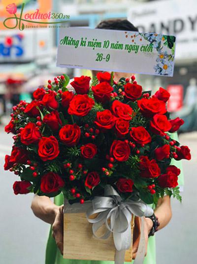 Hoa hồng đỏ - Rực rỡ chuỗi hồng ngọc