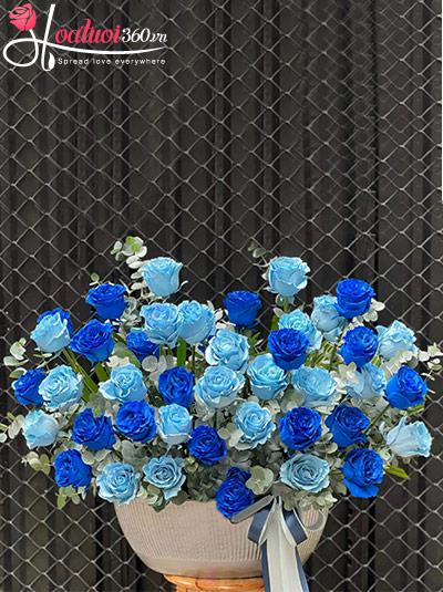 Hoa hồng Ecuador xanh - Ta có nhau