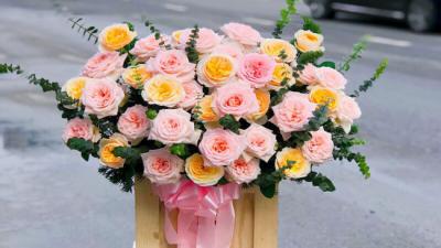 Hoa hồng Juliet triệu đô - Nữ hoàng của các loài hoa hồng