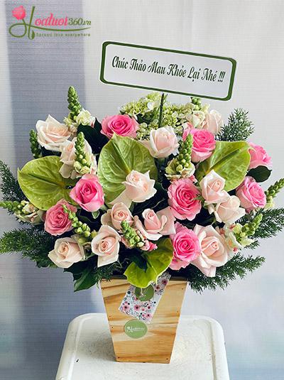 Hoa hộp gỗ - Lời động viên