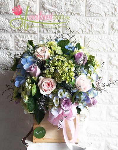 Hoa hộp gỗ: Một ngày mới