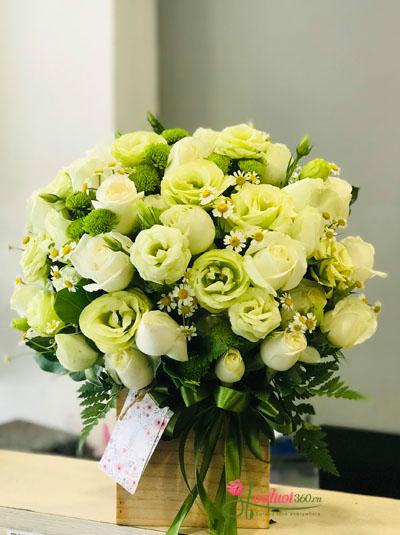 Hoa hộp gỗ - Nhựa sống