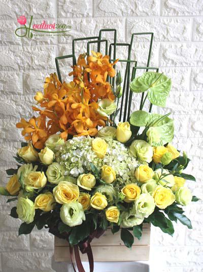 Hoa 20-11 - Hộp hoa chúc mừng tone vàng cam