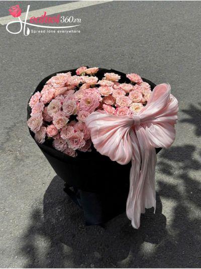 HSN - Tình khúc đam mê