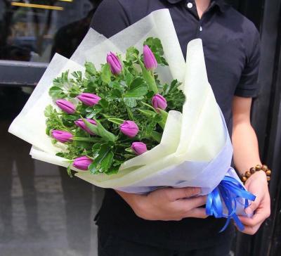 Hoatuoi360-hoa tulip 03