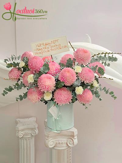 Hộp cúc mẫu đơn hồng - Butterflies