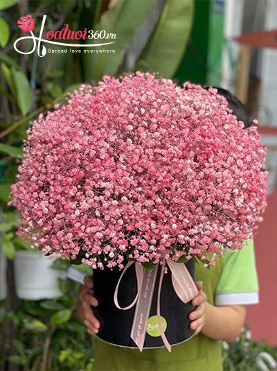 Hộp hoa baby hồng - Chân trời yêu thương